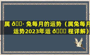 属 🕷 兔每月的运势（属兔每月运势2023年运 🐝 程详解）